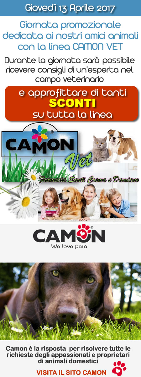 CAMON 13 4 17