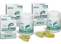 condrostress