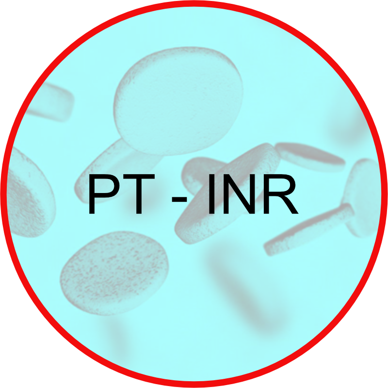 PT INR