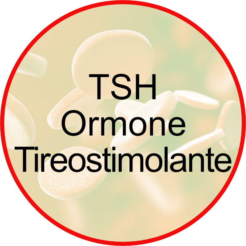 TSH