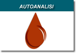 Autoanalisi